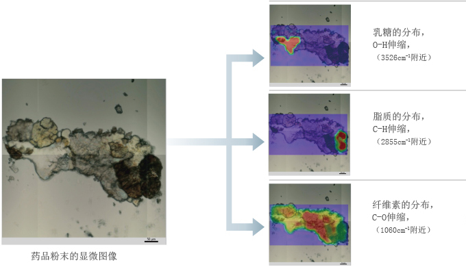 药品粉末的化学成像